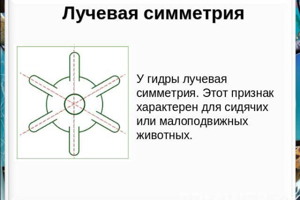 Украли аккаунт на кракене что делать