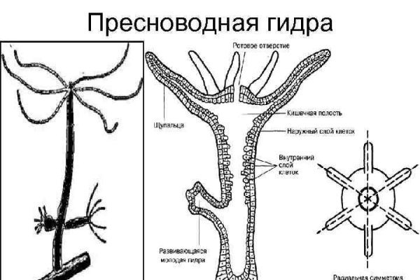 Кракен сайт как зайти