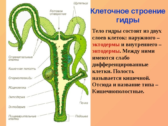 Кракен ссылка оригинал